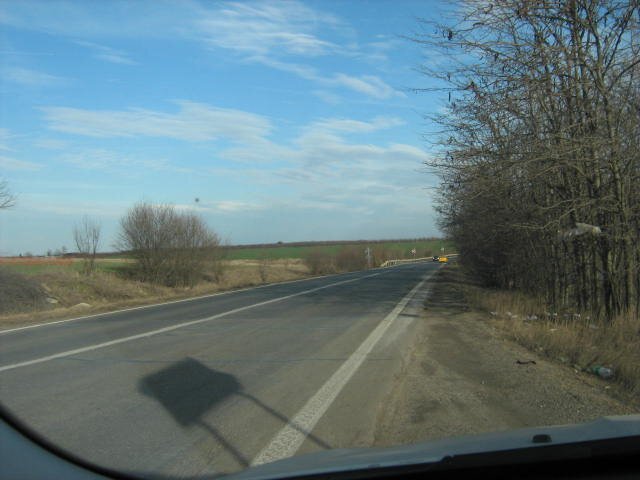 Belciugatele