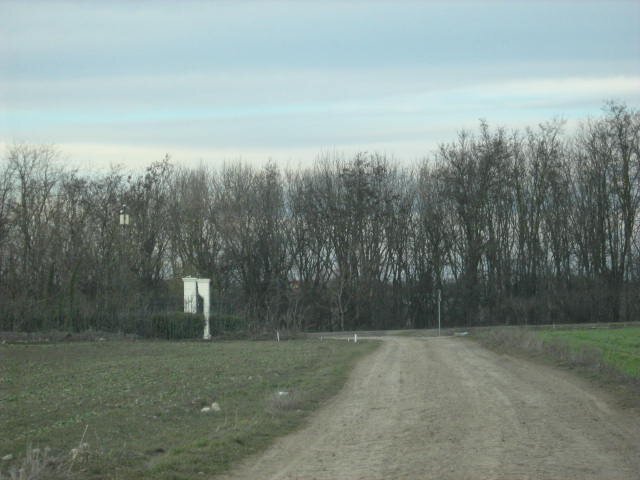 Belciugatele