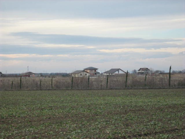 Belciugatele